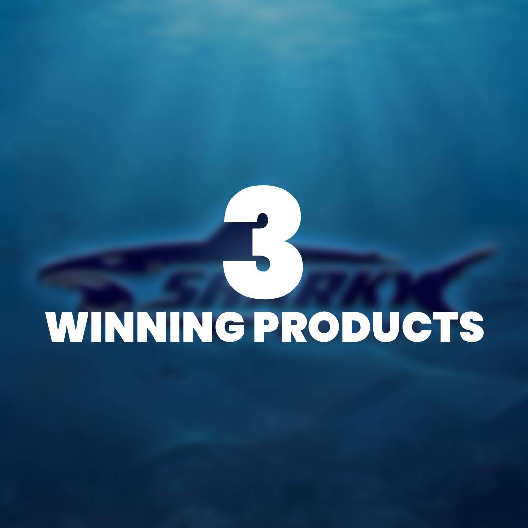3 Winning products