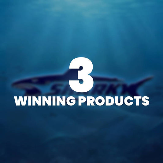 3 Winning products